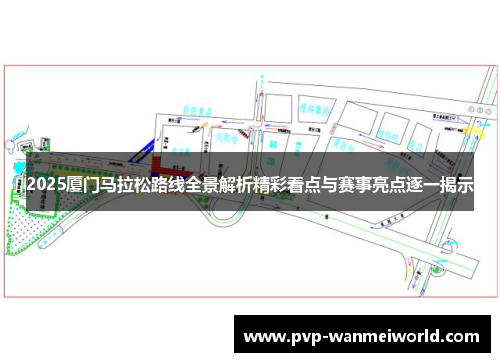2025厦门马拉松路线全景解析精彩看点与赛事亮点逐一揭示