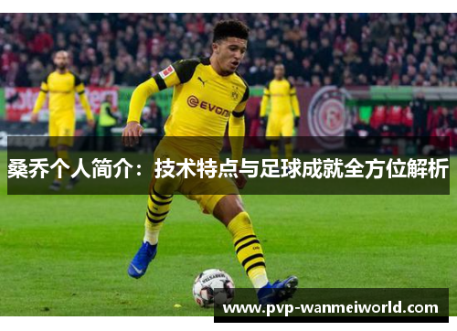 桑乔个人简介：技术特点与足球成就全方位解析