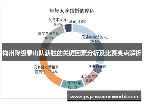 梅州降级泰山队获胜的关键因素分析及比赛亮点解析