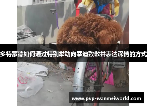 多特蒙德如何通过特别举动向泰迪致敬并表达深情的方式