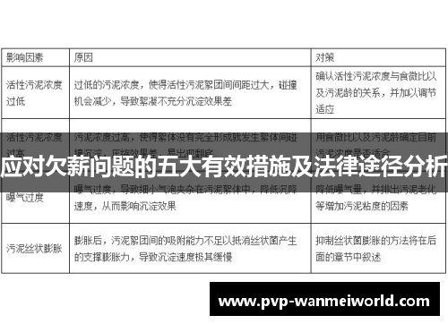 应对欠薪问题的五大有效措施及法律途径分析