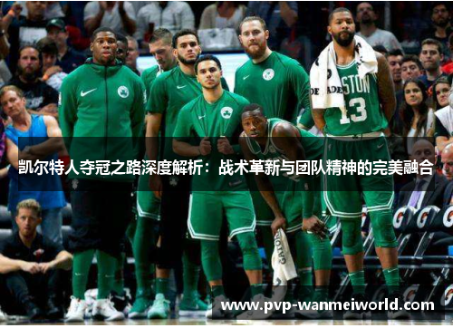 凯尔特人夺冠之路深度解析：战术革新与团队精神的完美融合
